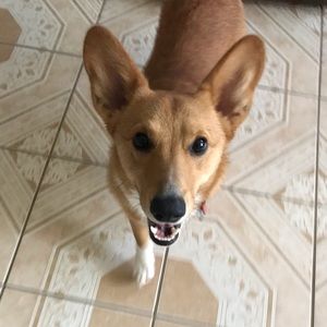 Meet your Posher, Jose